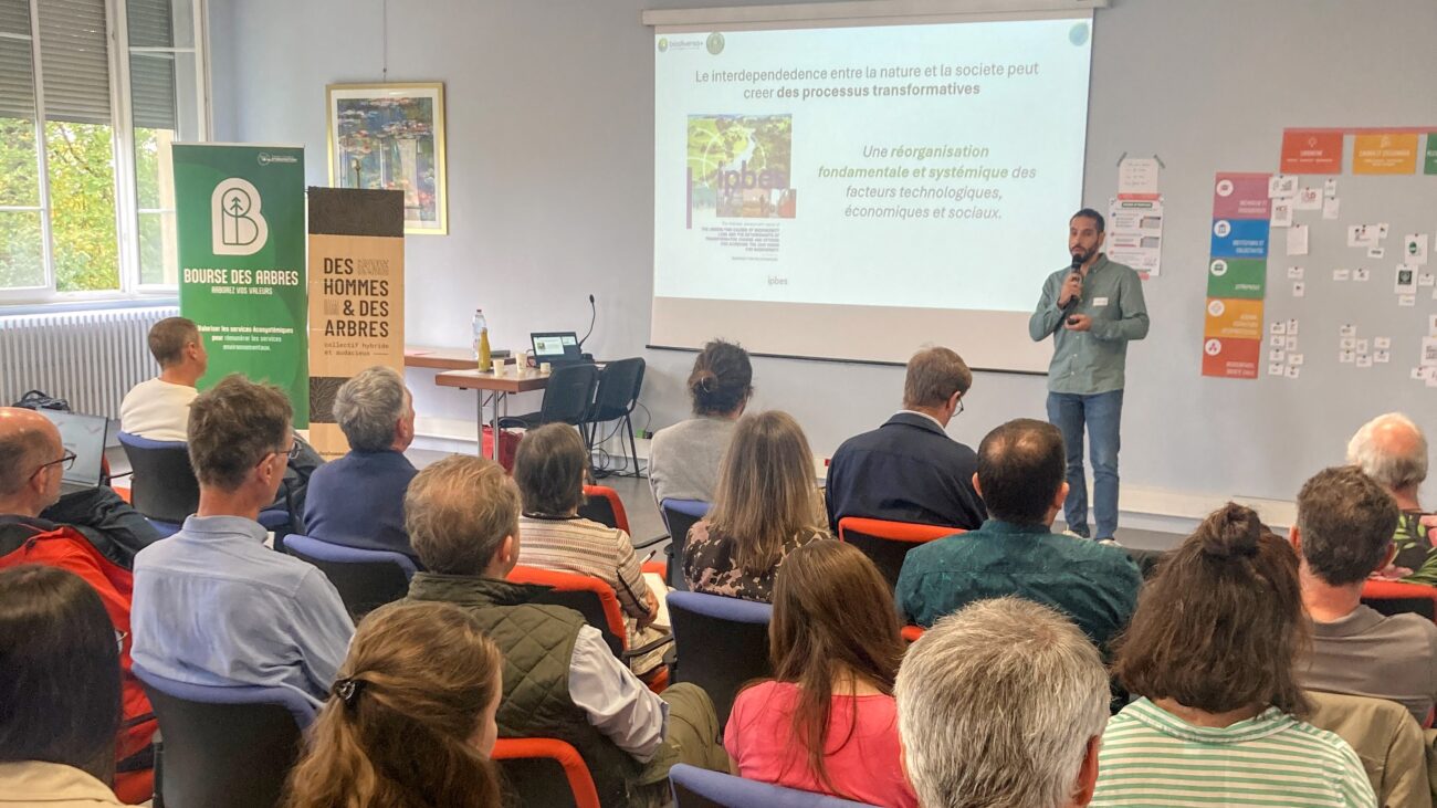 bourse des arbres visuels rencontres bourses 2026 alberto 121